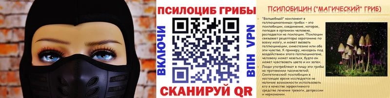 Галлюциногенные грибы MAGIC MUSHROOMS Шумиха